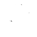 International Flag